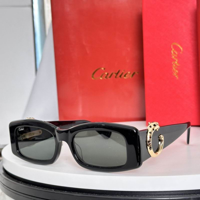 Cartier Glasses 08smh231 (3)