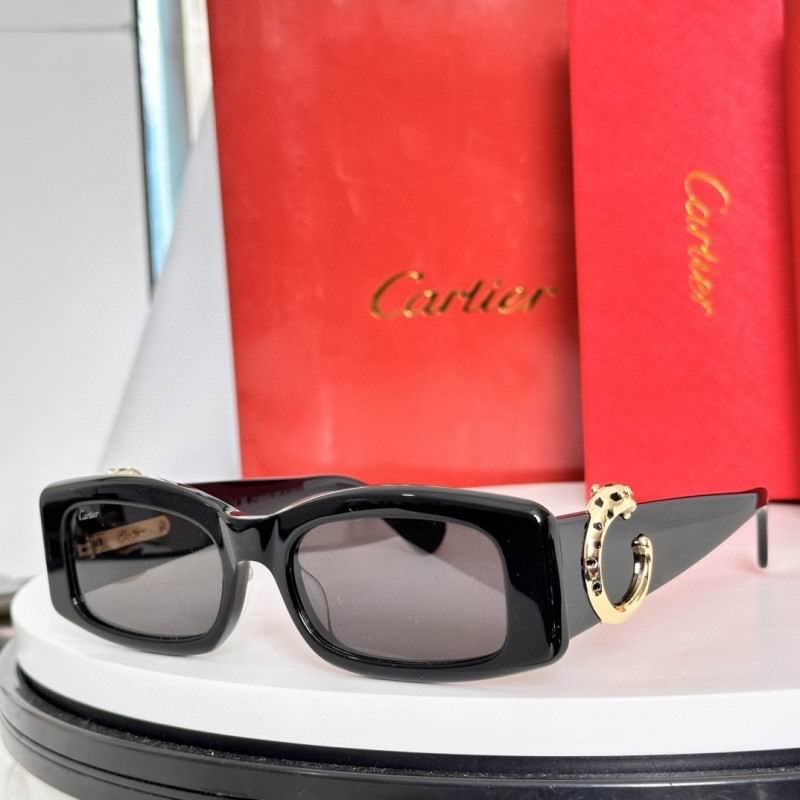 Cartier Glasses 08smh231 (4)