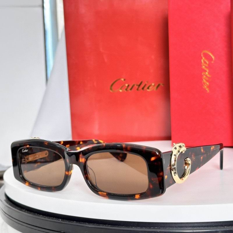 Cartier Glasses 08smh231 (5)