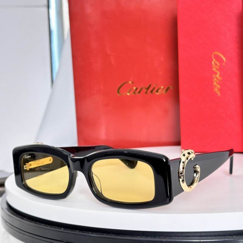 Cartier Glasses 08smh231 (6)