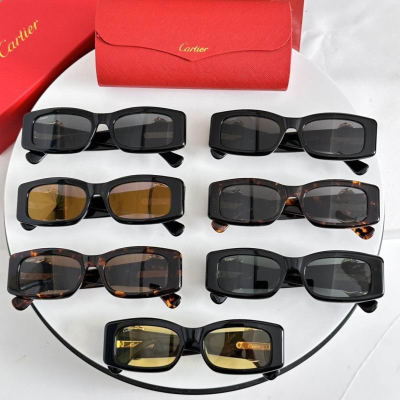 Cartier Glasses 08smh231 (8)