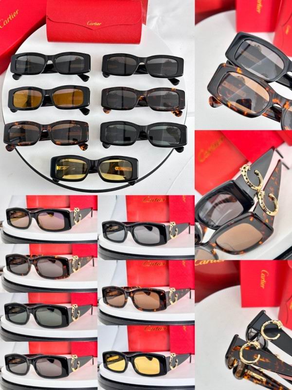 Cartier Glasses 08smh231 (9)