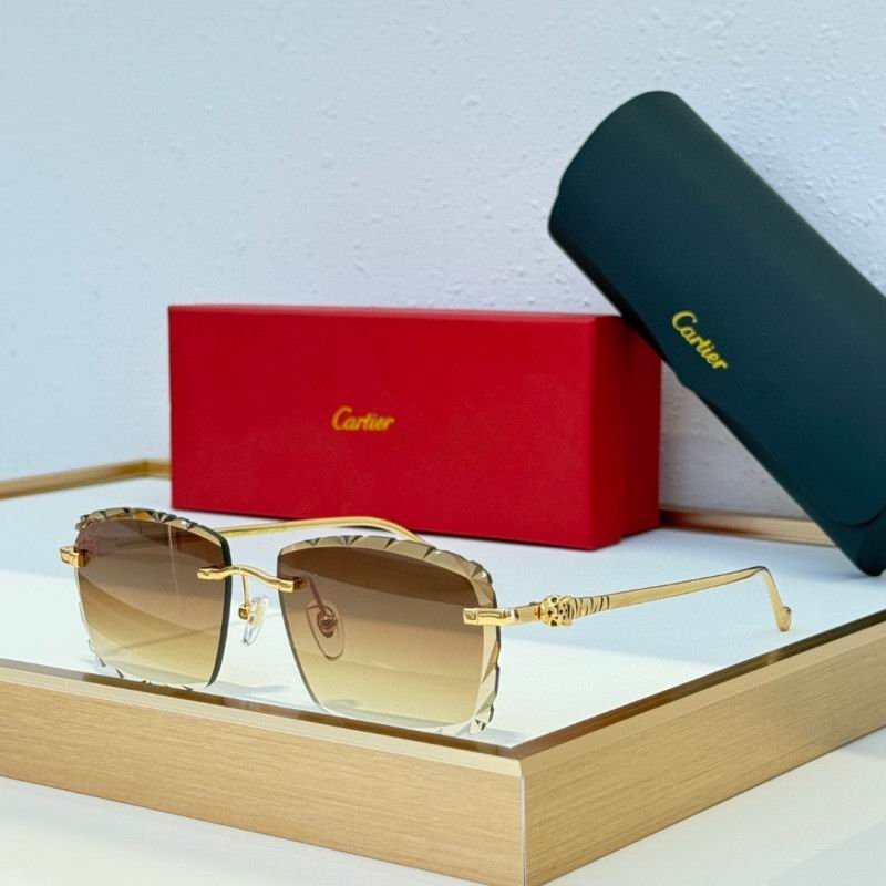 Cartier Glasses 08smh234 (3)