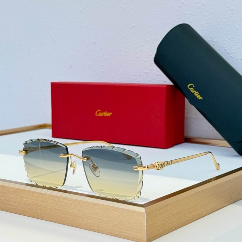 Cartier Glasses 08smh234 (4)