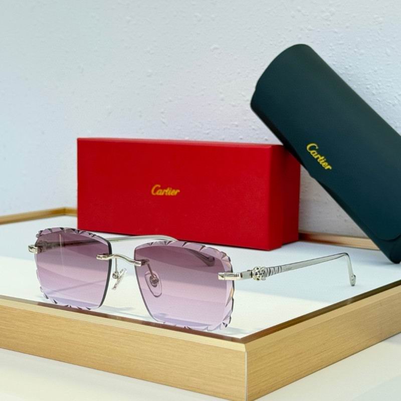 Cartier Glasses 08smh234 (5)