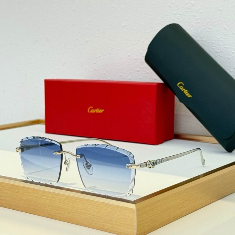 Cartier Glasses 08smh234 (6)
