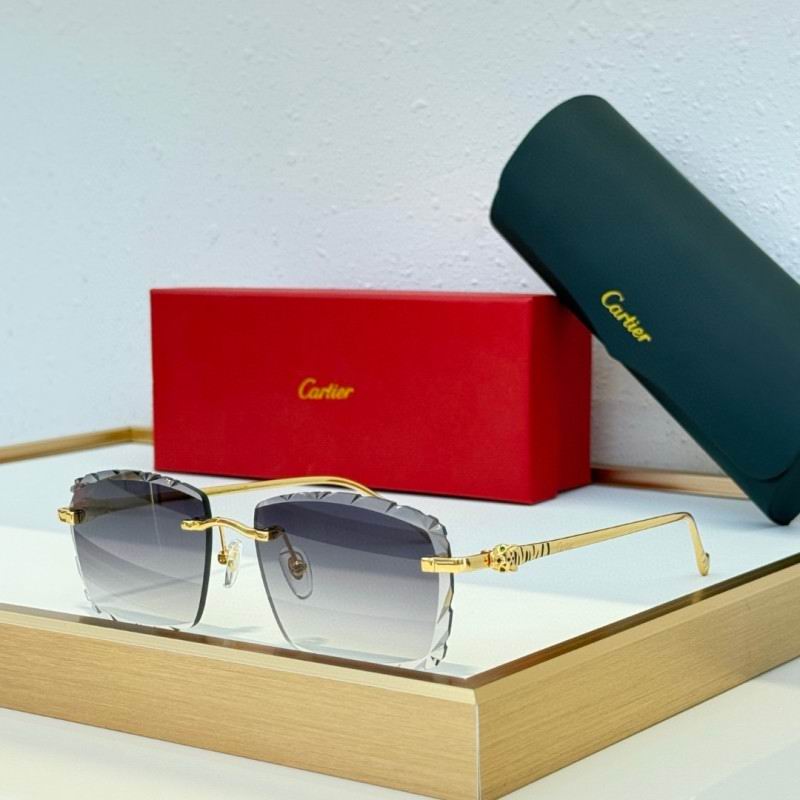 Cartier Glasses 08smh234 (7)