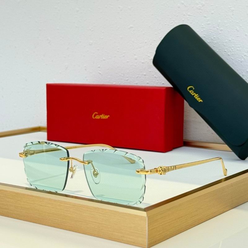Cartier Glasses 08smh234 (8)