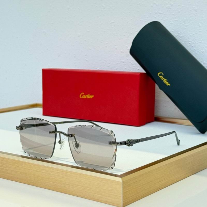 Cartier Glasses 08smh234 (9)
