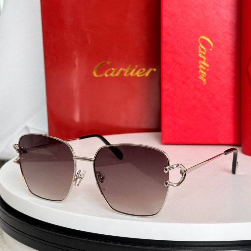 Cartier Glasses 08smh235 (1)