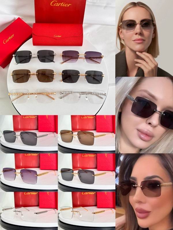 Cartier Glasses 08smh236 (10)