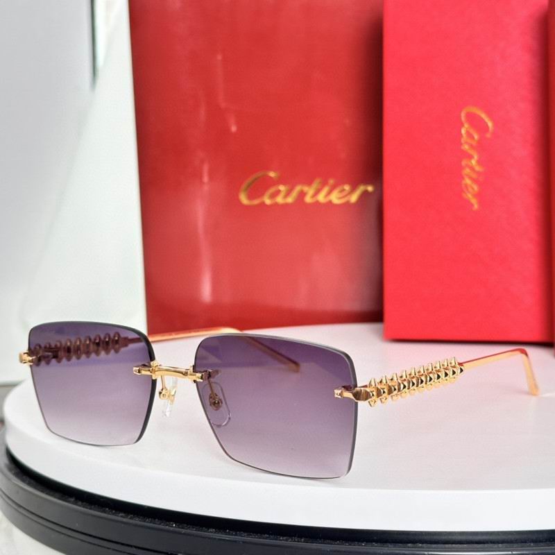 Cartier Glasses 08smh236 (4)