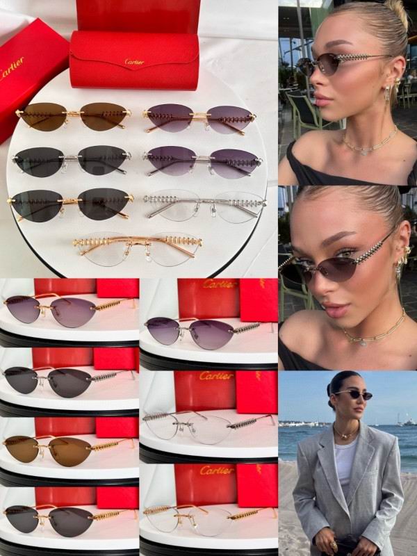 Cartier Glasses 08smh237 (10)