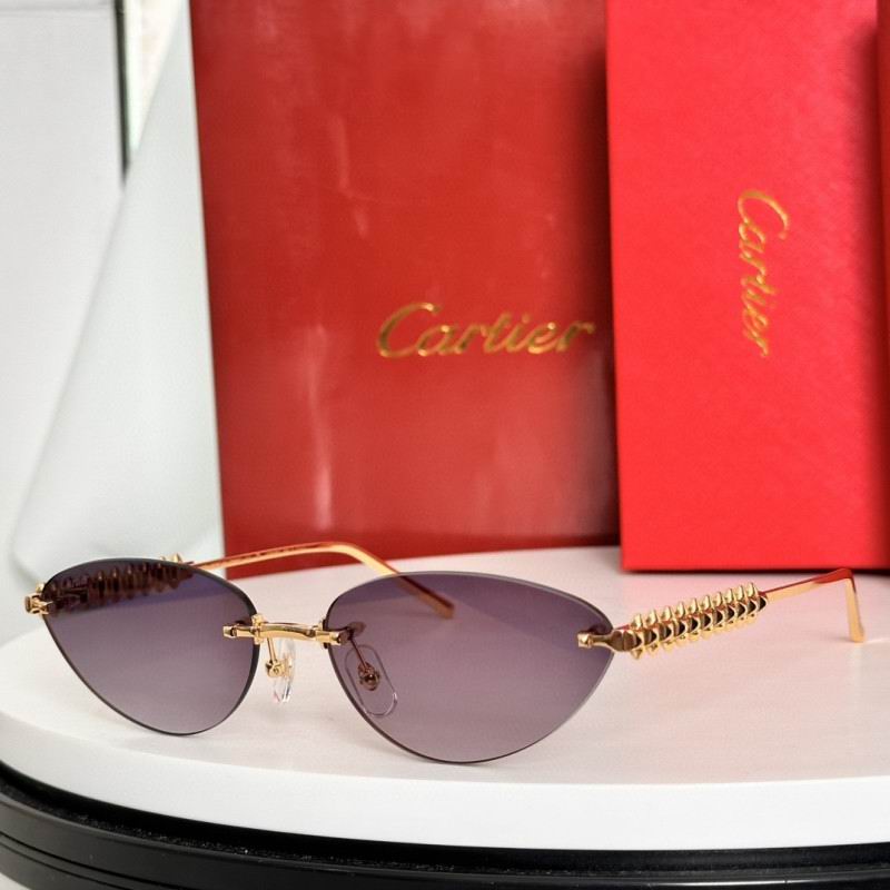 Cartier Glasses 08smh237 (2)