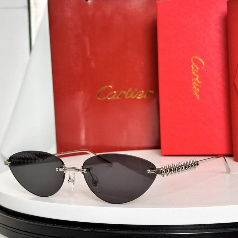 Cartier Glasses 08smh237 (3)