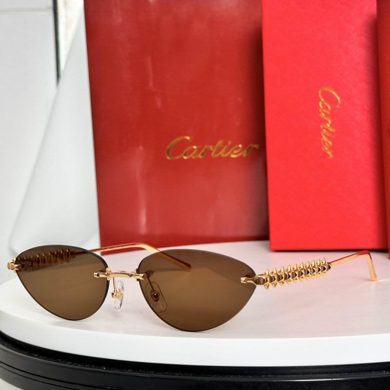 Cartier Glasses 08smh237 (4)