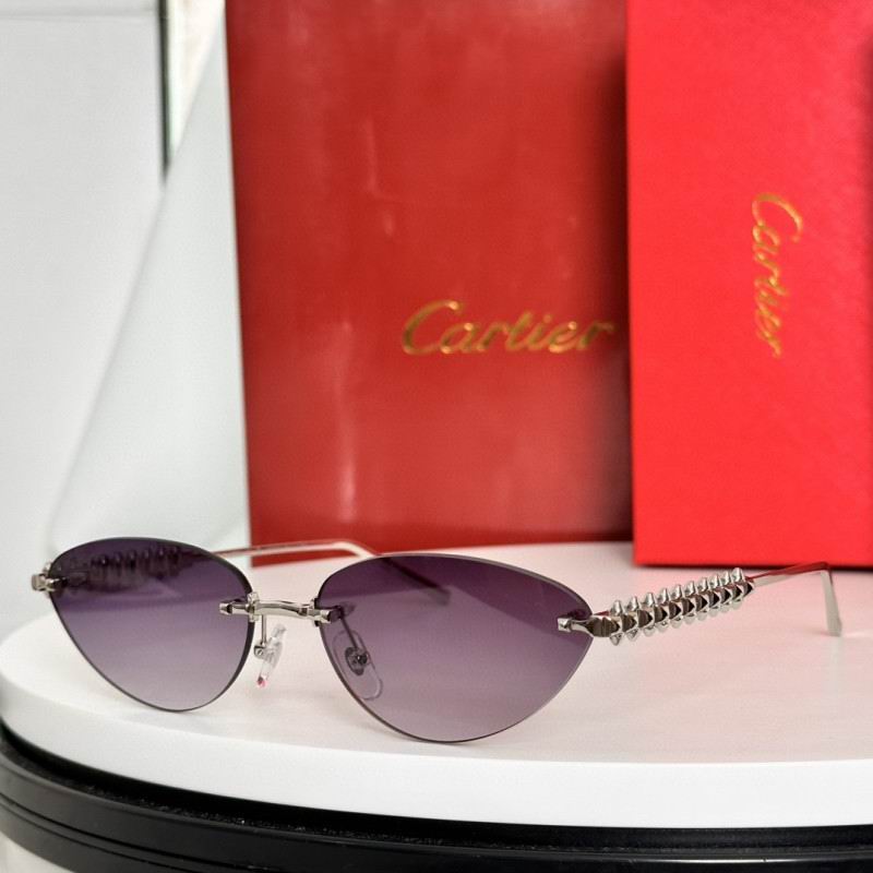 Cartier Glasses 08smh237 (6)