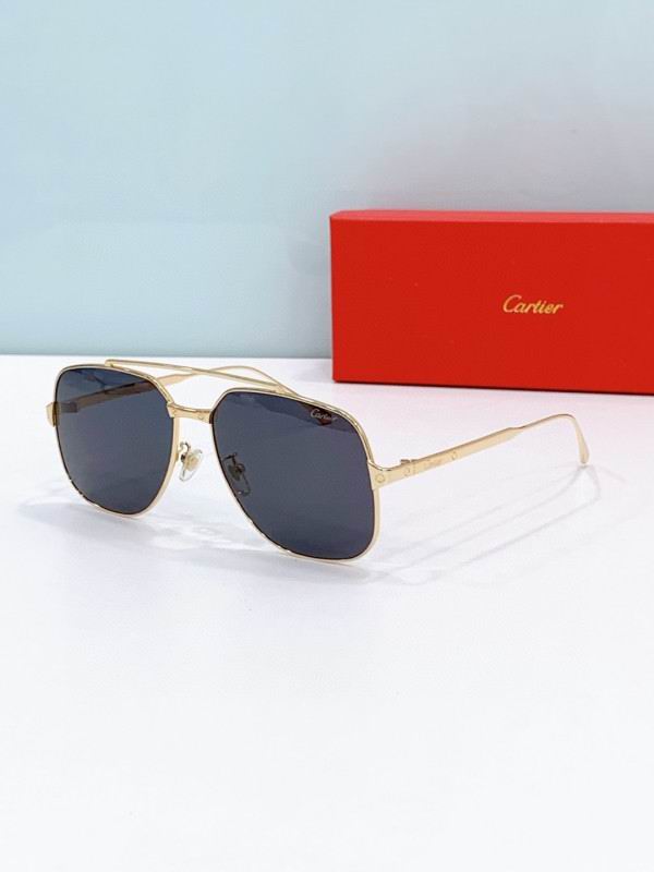 Cartier Glasses 08smh238 (1)