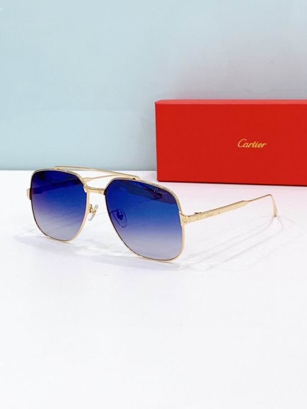 Cartier Glasses 08smh238 (2)