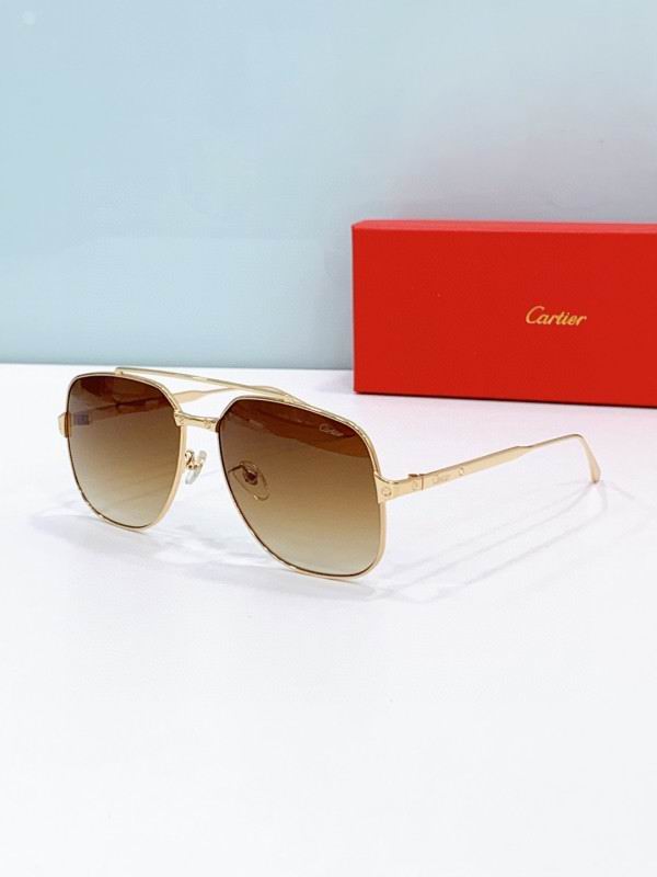 Cartier Glasses 08smh238 (3)