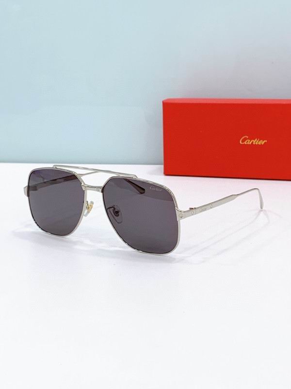 Cartier Glasses 08smh238 (4)