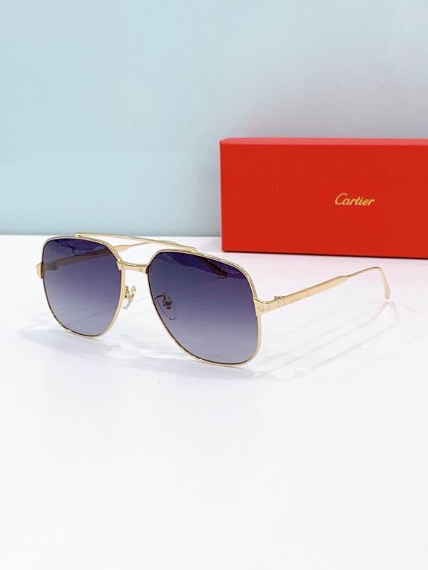 Cartier Glasses 08smh238 (5)