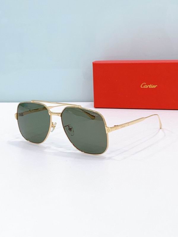 Cartier Glasses 08smh238 (6)