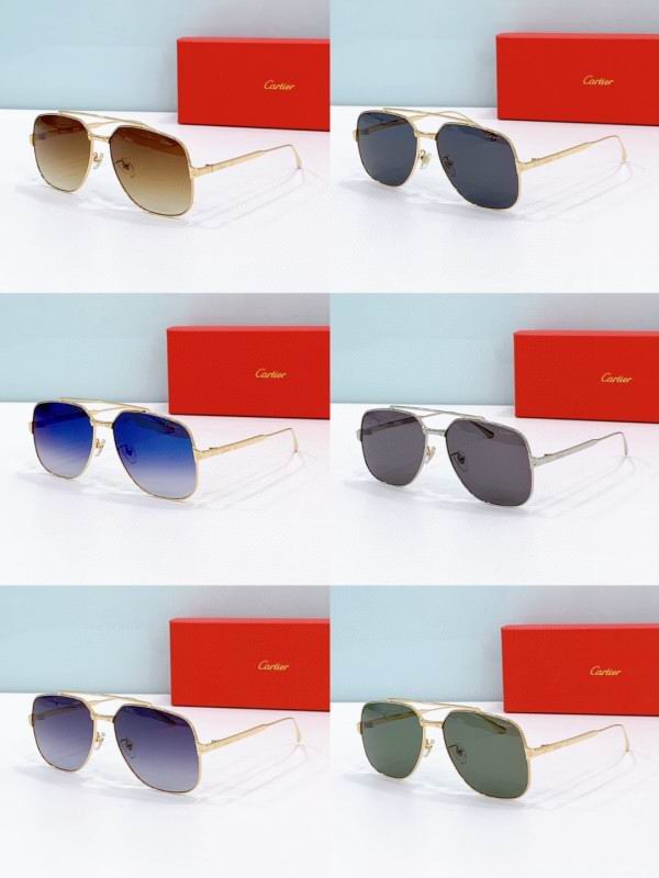 Cartier Glasses 08smh238 (8)