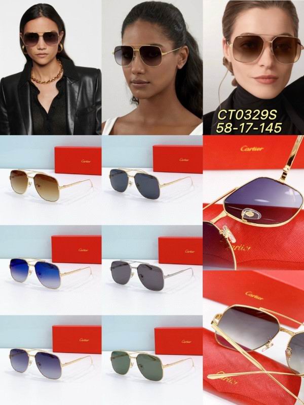 Cartier Glasses 08smh238 (9)