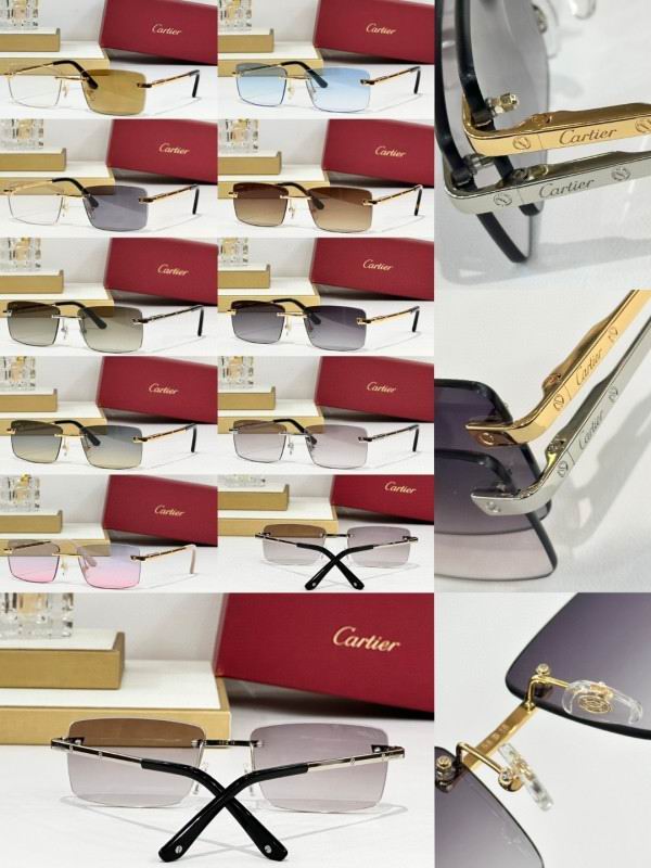 Cartier Glasses 08smh239 (10)
