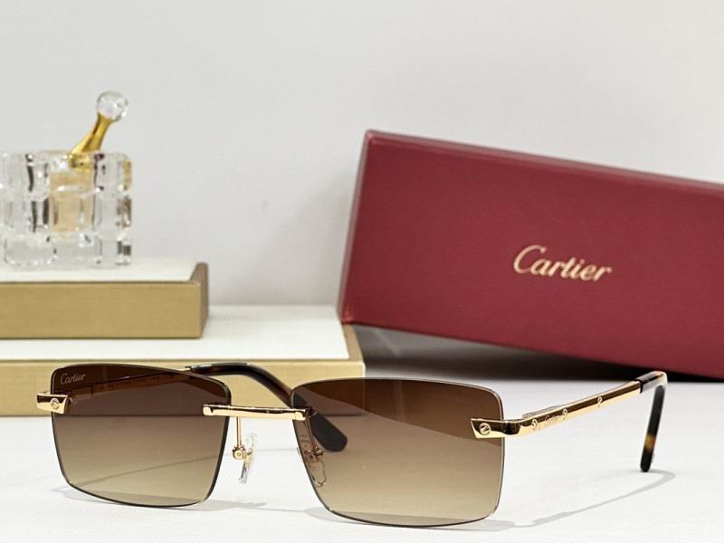 Cartier Glasses 08smh239 (5)
