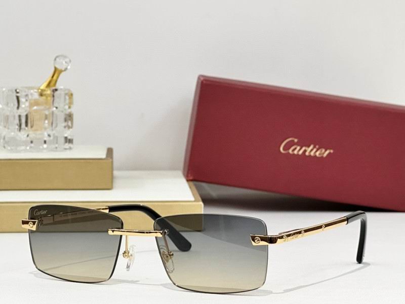 Cartier Glasses 08smh239 (6)