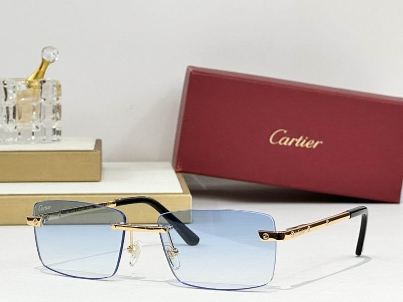 Cartier Glasses 08smh239 (7)