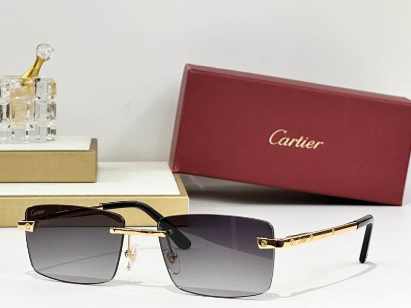 Cartier Glasses 08smh239 (8)