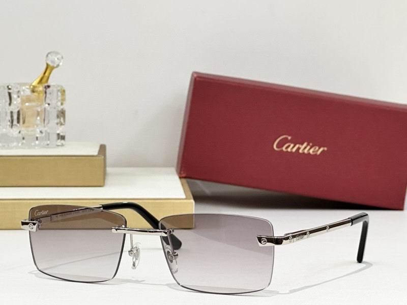 Cartier Glasses 08smh239 (9)
