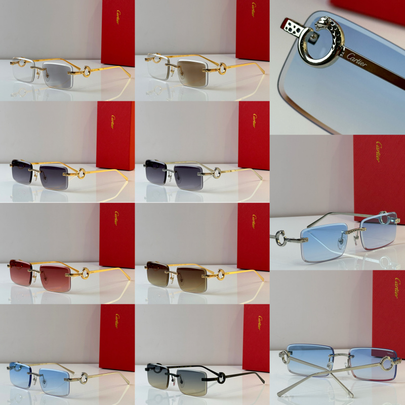 Cartier Glasses 08smh24 (13)