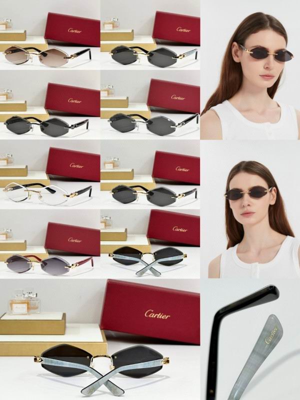 Cartier Glasses 08smh240 (10)