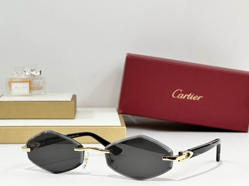 Cartier Glasses 08smh240 (6)