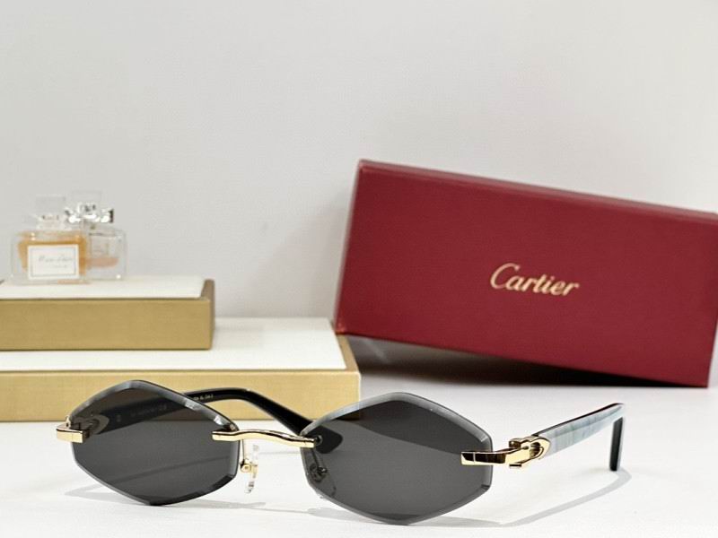 Cartier Glasses 08smh240 (7)