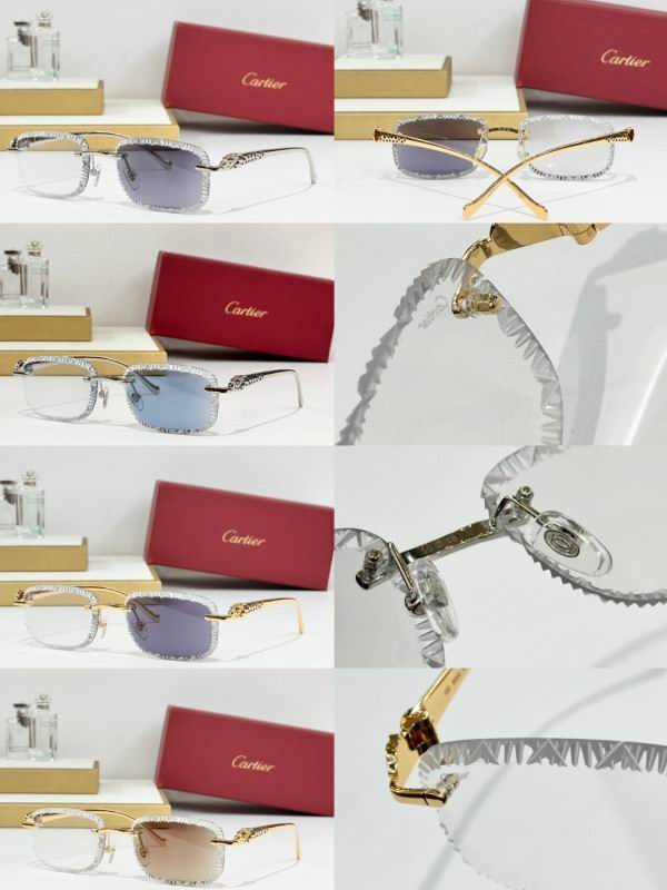Cartier Glasses 08smh241 (10)