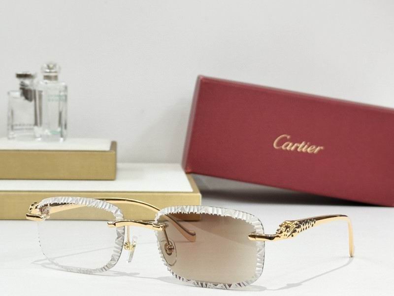 Cartier Glasses 08smh241 (3)