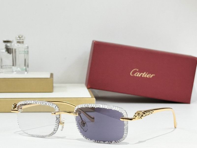 Cartier Glasses 08smh241 (4)