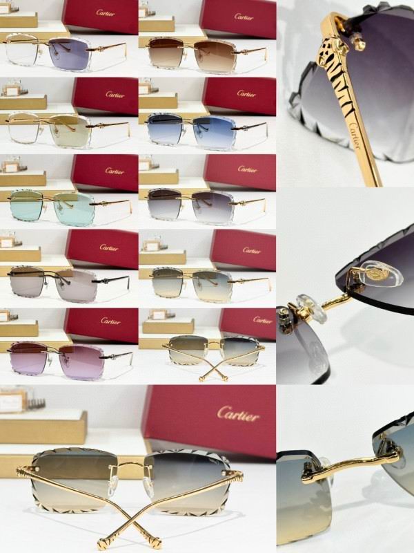 Cartier Glasses 08smh242 (10)
