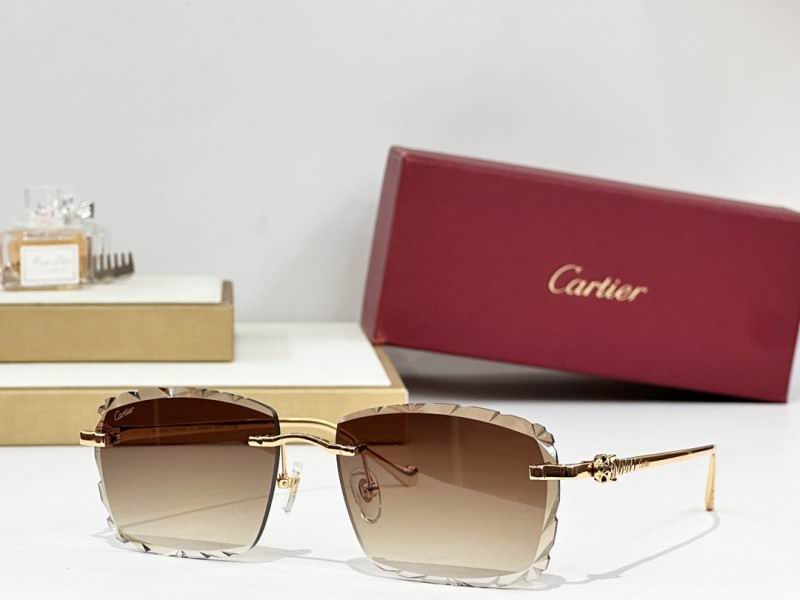 Cartier Glasses 08smh242 (6)