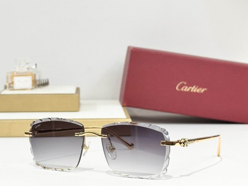 Cartier Glasses 08smh242 (8)