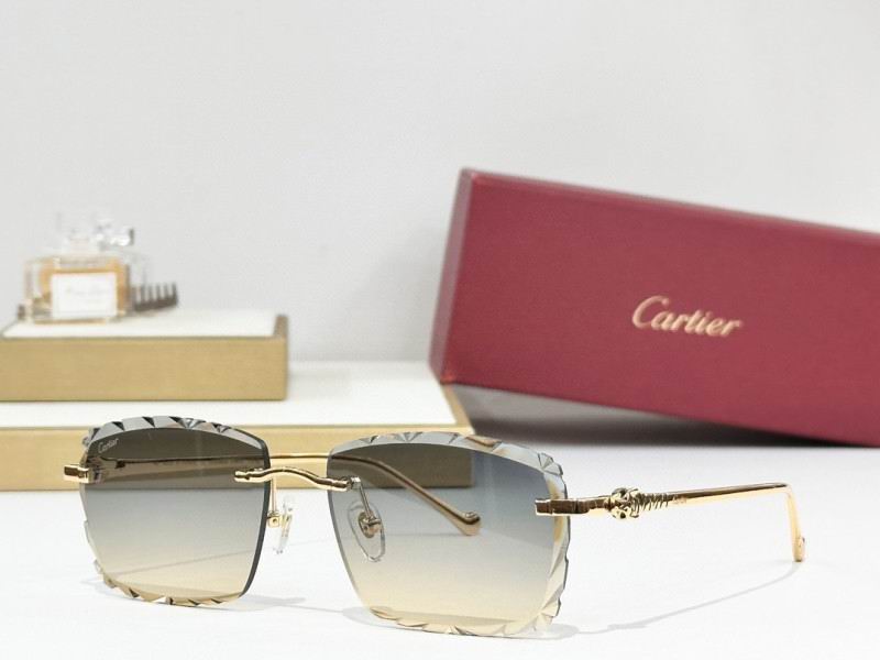 Cartier Glasses 08smh242 (9)