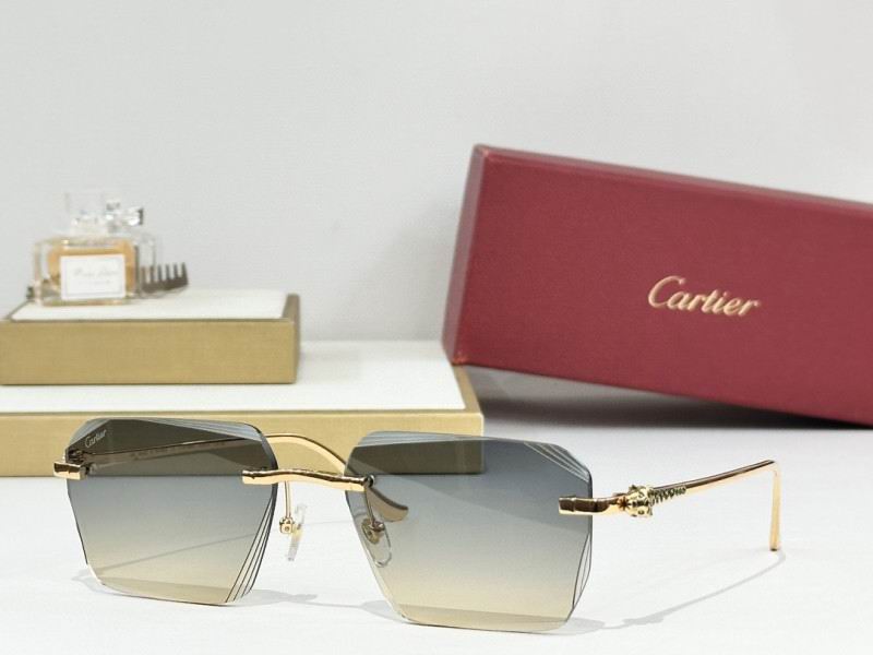 Cartier Glasses 08smh243 (3)