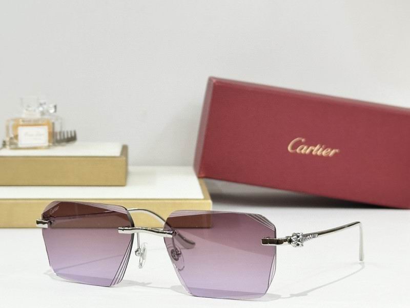 Cartier Glasses 08smh243 (4)