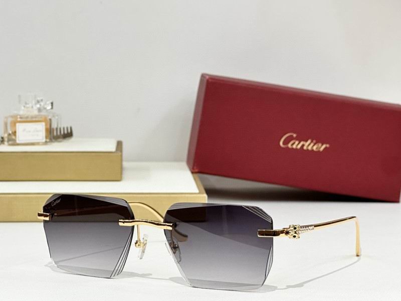 Cartier Glasses 08smh243 (6)