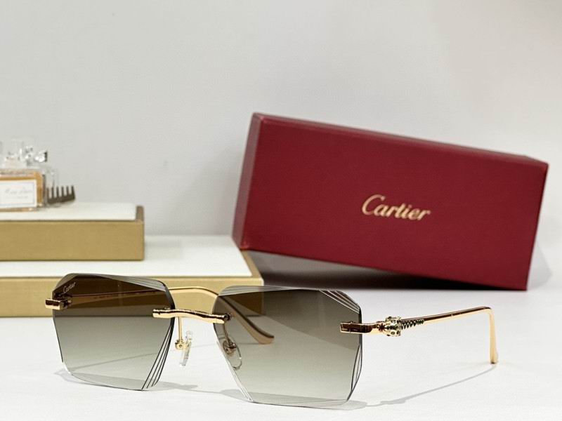 Cartier Glasses 08smh243 (7)